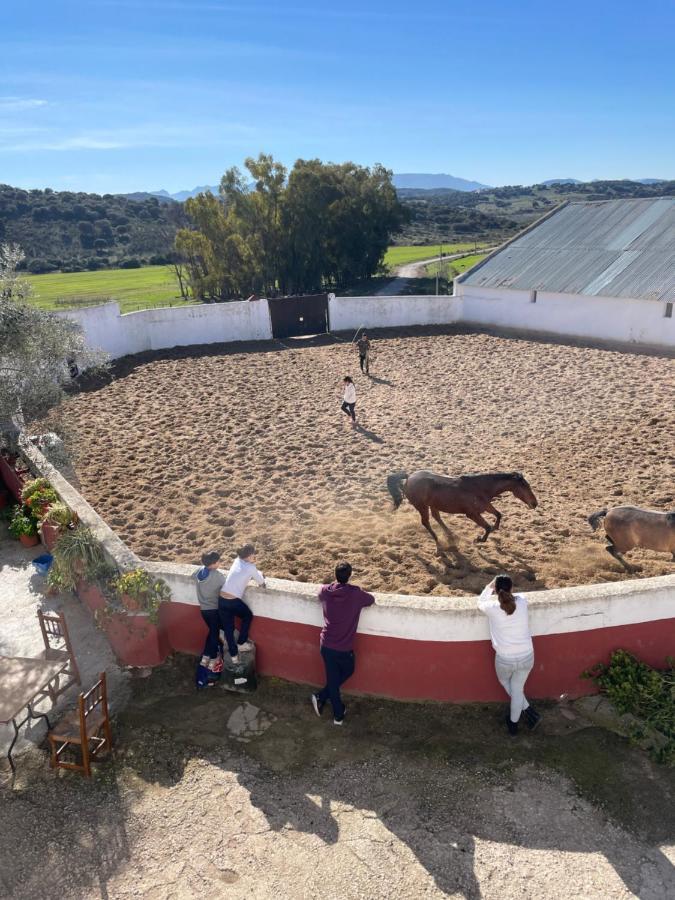 Casa Rural Finca De Las Encarnaciones Bajas Villanueva de San Juan المظهر الخارجي الصورة