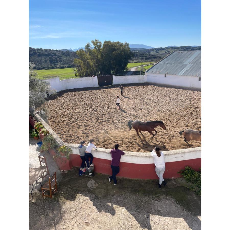 Casa Rural Finca De Las Encarnaciones Bajas Villanueva de San Juan المظهر الخارجي الصورة