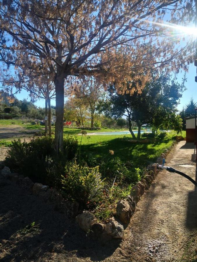 Casa Rural Finca De Las Encarnaciones Bajas Villanueva de San Juan المظهر الخارجي الصورة