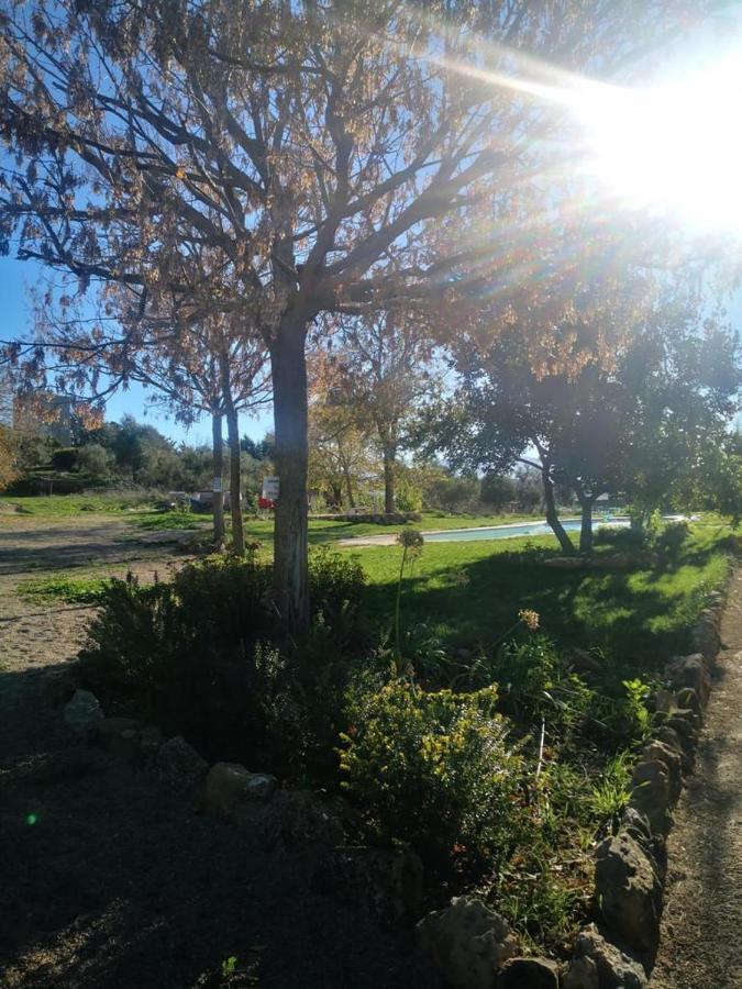 Casa Rural Finca De Las Encarnaciones Bajas Villanueva de San Juan المظهر الخارجي الصورة